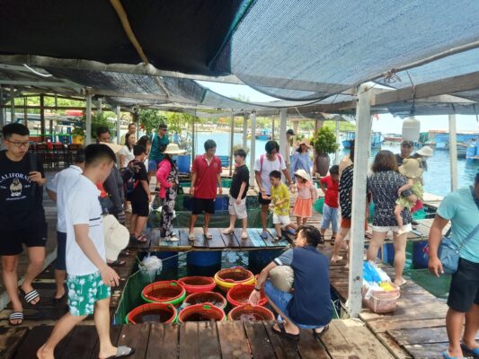 Khám phá Tour 3 đảo Vịnh San Hô Nha Trang - 4