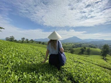 mu cang chai mua lua chin 2n1d 1215 1