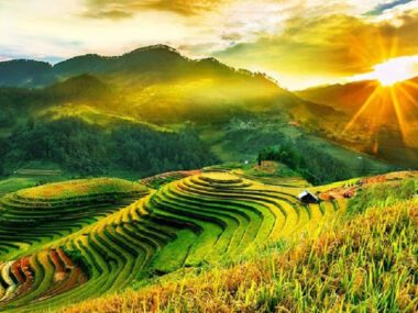 mu cang chai mua lua chin 2n1d 1215 4