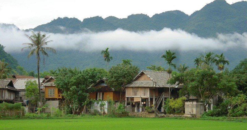 Thung nhuối Mai Châu