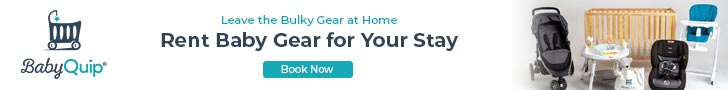 Baby gear rentals